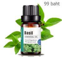 Aliztar 100% Pure Basil Essential Oil 10 ml น้ำมันหอมระเหยโหระพาแท้ สำหรับอโรมาเทอราพี เตาอโรมา เครื่องพ่นไอน้ำ ผสมน้ำมันนวดผิว ทำเทียนหอม ทำสเปรย์