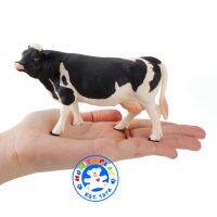 Munich Play - โมเดลสัตว์ Red Holstein วัวนม ดำ แม่ ขนาด 13.50 CM (จากหาดใหญ่)