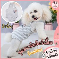 bonanzashop [พร้อมส่ง] ชุดอนามัยสุนัข ชุดกันเลอะเวลาเป็นฮีท ชุดกันผสมพันธุ์ ชุดกันเลีย Gift For You เพื่อคนสำหรับเช่นคุณโดยเฉพาะ