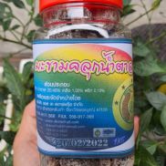 HCMme trái Thái Lan ngọt chua cay kèm muối tôm ngon tuyệt -Hủ 300g