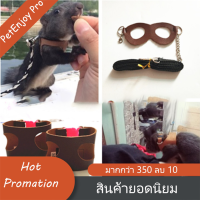 PetEnjoy Pro เชือกดึงกระรอก พิเศษสำหรับหนูสัตว์เลี้ยง พร้อมส่ง