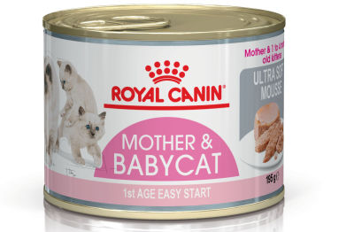 Royal Canin Mother &amp; Baby Cat 12 กระป๋อง(195 กรัม/กระป๋อง) อาหารเปียก อาหารแมว มูสนิ่ม สำหรับลูกแมวและแม่แมว