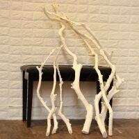 [COD] flowers white trunks orange trees dead tree poles dry branches keels interior decoration window flower arrangements ornaments crafts
