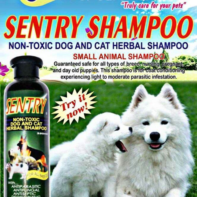 SENTRY Dog and Cat Shampoo 250ml Lazada PH