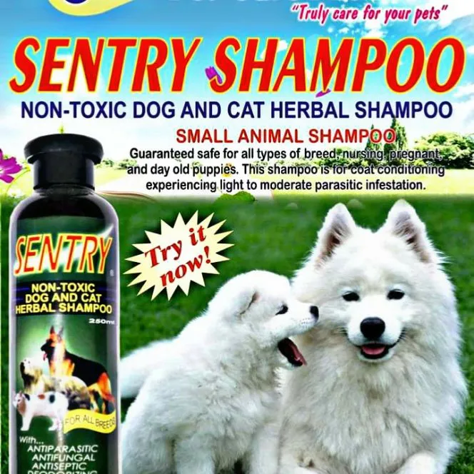 is cat shampoo safe for dogs