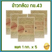 ข้าวกล้อง ข้าวกข43 ข้าวกล้องกข43 ข้าวลดน้ำตาล ควบคุมน้ำหนัก ปลอดสารเคมี ไม่มีสารกันมอด แพคสูญญากาศ ขนาด 1 กก. ขนาด 5 แพค