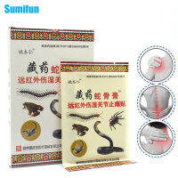 【CW】Tibetan Medicine Snake Bone Ointment รังสีอินฟราเรดความเสียหาย Wet Joint Pain Relief Patch