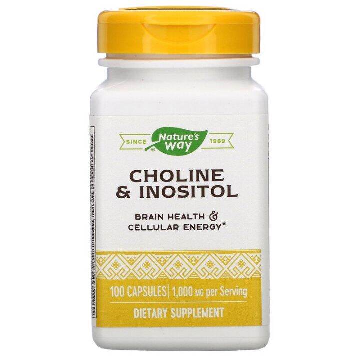 Choline & Inositol, 1,000 mg, 100 Capsules Lazada PH