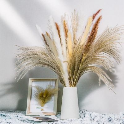 [AYIQ Flower Shop] 80ชิ้นตกแต่งงานแต่งงาน Pampas หญ้าดอกไม้แห้ง Pantas Artificiales Para ตกแต่งพืชจริงบ้าน Fleurs Sechees Stings