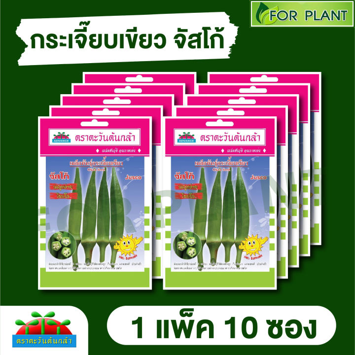 ขายส่ง-เมล็ดพันธุ์-ผักซอง-พันธุ์ผัก-แพ็คชนิดล่ะ-10-ซอง-ราคาเริ่มต้นที่แพ็คล่ะ-64-บาท-คละชนิดได้-เพียงเพิ่มใส่รถเข็นก่อนทำการสั่งซื้อ