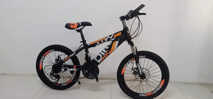 mini mtb size 20