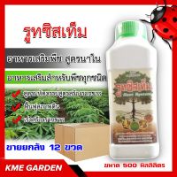 *** ขายยกลัง *** ? อาหารเสริม ? รูทซิสเท็ม สูตรนาโน 500 ml.ยกลัง12ขวด สำหรับพืชทุกชนิด สูตรมหัศจรรย์สูตร ฟื้นฟุสภาพดิน เร่งสร้างราก