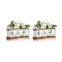 2X Plant Propagation Station with Wooden Stand,Plant Terrarium Desktop Propagation Stations,Air Planter Bulb Glass Vase