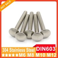 DIN603 M6 M8 M10 M12 A2-70 304 Stainless Steel Truss Round Head Square Neck Carriage Screw Coach Bolt Nails Screws Fasteners