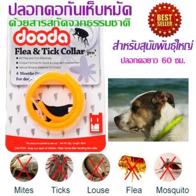 Dooda Flea &amp; Tick Collar Protection ปลอกคอกันเห็บ หมัด ป้องกันกำจัดเห็บหมัด ยุง และแมลงที่มากวนสัตว์เลิ้ยงแสนรัก สีส้ม