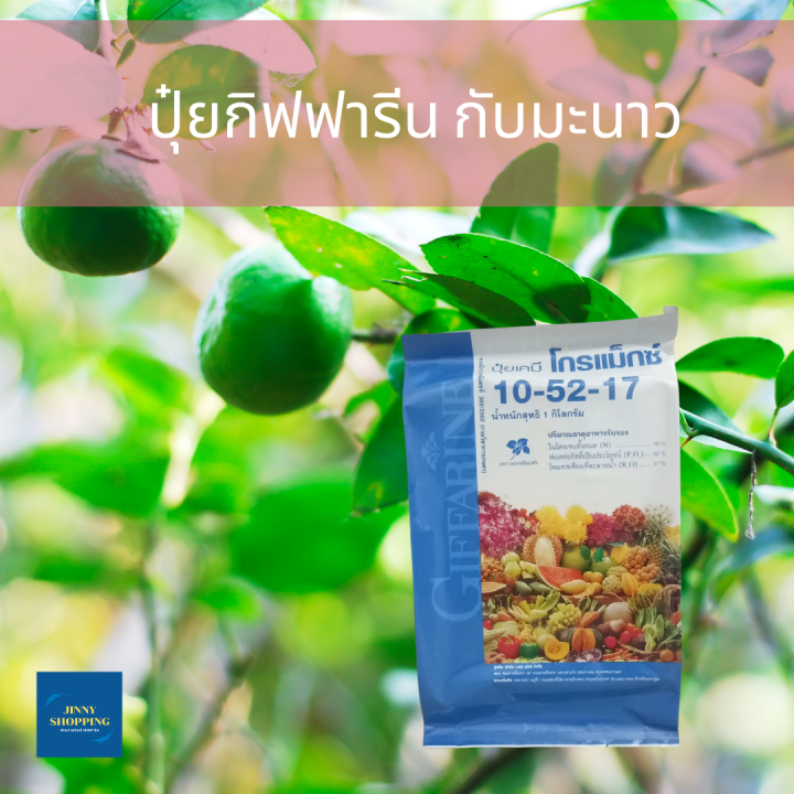 ปุ๋ยเกล็ดโกรแม็กซ์-10-52-17-ปุ๋ย-กิฟฟารีน-สูตรฟอสฟอรัสสูง-หยุดต้น-สร้างดอก-พัฒนาราก