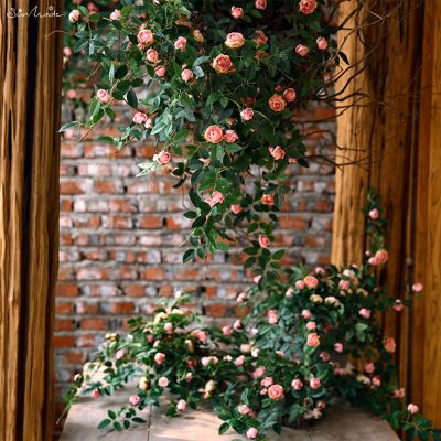 [AYIQ Flower Shop] SunMade Tiny Rose Bud Vine Silk Artificales ดอกไม้ Home AYIQ Flower Shopel ตกแต่งงานแต่งงานดอกไม้สีขาว Rose หวายแขวนผนัง Decor