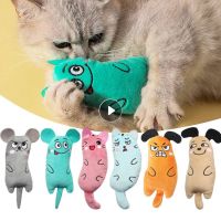 Cute Cat Toys Funny Interactive Plush Cat Toy Mini Teeth Grinding Catnip Toys Kitten Chewing Mouse Toy Pets Supplies Accessories Toys