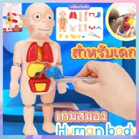 tutu toys ของเล่นจำลองร่างกายมนุษย์ ของเล่นstem ของเล่นเพื่อการศึกษา ของเล่นวิทยาศาสตร์ ของเล่นเด็ก