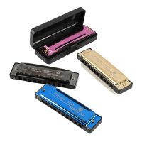 Blues 10-Hole Harmonica Phosphor Núcleo Estudante Crianças Educação Precoce Orff Instrumento Musical Com