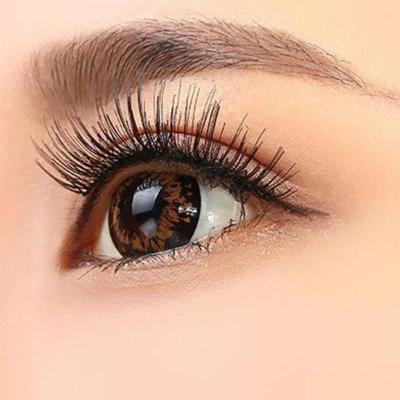 10คู่ขนตาตัวต่อขนตาดวงตายาวธรรมชาติของผู้หญิงนำมาใช้ใหม่ Rias Peralatan A1Z6