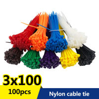 100 ชิ้น/ถุง 8 สี 2.5 มม. x 100 มม. 2.5 มม. * 100 มม. ไนลอนล็อคตัวเองสายเคเบิ้ล Zip Ties สายผูกสีขาวสีดำ Organizer ยึดสาย-ju544982