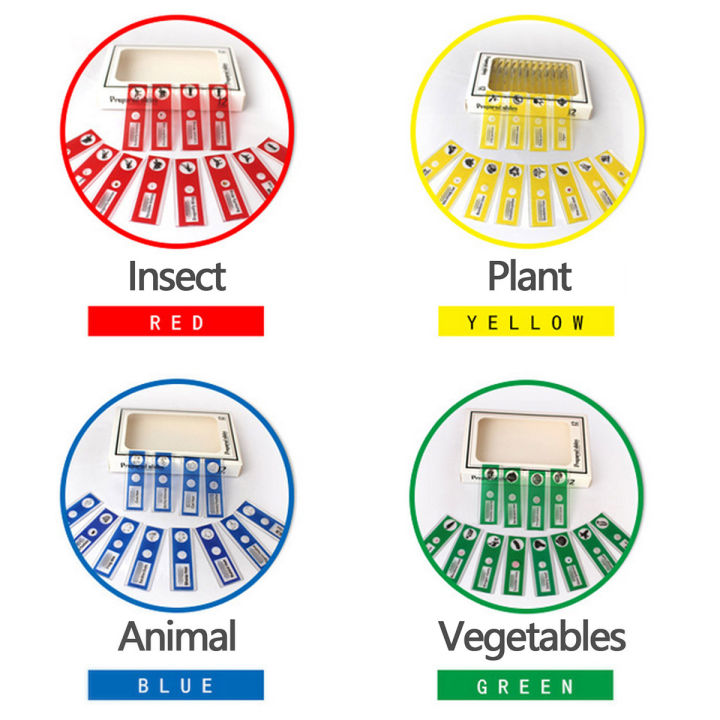 สไลด์กล้องจุลทรรศน์สำหรับเด็กกล้องจุลทรรศน์สไลด์สำหรับนักเรียน48ชิ้น-กล้องจุลทรรศน์พลาสติกสไลด์เตรียมแบบใสพร้อมฉลากแผ่นตัวอย่างพืชแมลงสัตว์ตัวอย่างกล้องจุลทรรศน์สไลด์สำหรับการศึกษาวิทยาศาสตร์ชีวภาพ