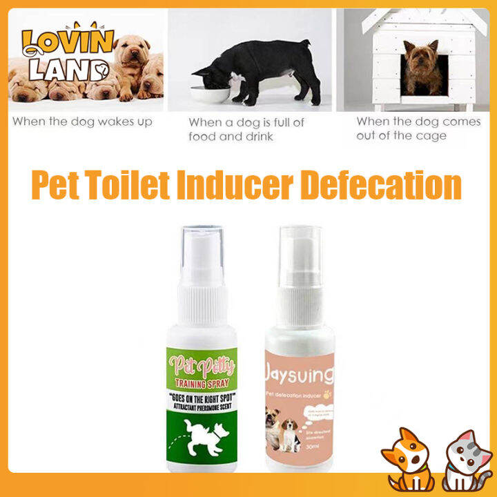 Lovinland 30ml Pet Dog Spray Inducer Dog Toilet Training Puppy ...