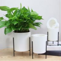 Indoor Decorative Living Room Office Vase Fleshy Self Watering Home Garden Balcony With Iron Stand Green Planter Flowerpot Set