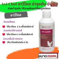 Avi-Chol 250ml อาวีโคล บำรุงตับ ขับพิษ ให้นกผลัดขนได้สมบูรณ์แบบ