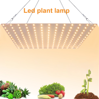 LED Grow Light Full Spectrum ที่มีประสิทธิภาพ Phyto Lamp Plant Seeds Lamp Plant Growing Light สำหรับเมล็ดในร่มดอกไม้ผัก