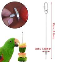 ที่แขวนผลไม้ - Stainless Steel Parrot Fruit Vegetable Food Stick Holder ของเล่นนก