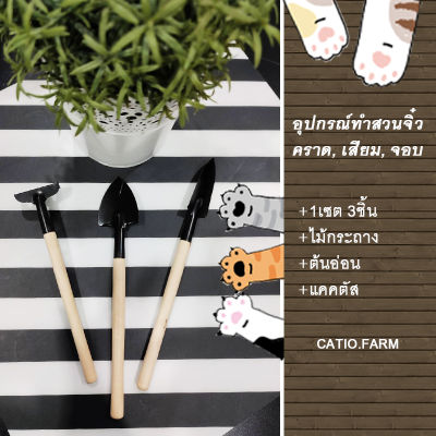 เครื่องมือทำสวนจิ๋ว จอบ เสียม พลั่ว catiofarm ปุ๋ยและเครื่องมือทำสวน พืชกระถาง ต้นอ่อน ดอกไม้ แคทตัส  ขอบคุณที่เข้ามาเยี่ยมชม catiofarm ฟาร์มระเบียงแมวของเรานะคะ^^  อุปกรณ์พรวนดินและอุปกรณ์ทำสวนขนาดเล็ก 1ชุด มี3ชิ้น จอบ เสียม พลั่ว  ใช้เป็นอุปกรณ์ในการขุด