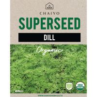 ขายดี !!! เมล็ด DILL (Organic) ผักชีลาว