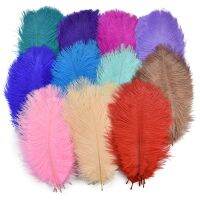 10Pcs Colored Feathers 15-20CM 6-8 Manmade Artificial Feather Wedding Accessories Decoration