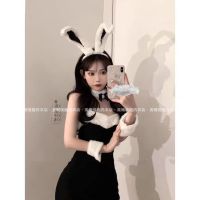 temptation lingerie from tuotu so cute and sexy black bunny rabbit nightclub anchor uniform suits