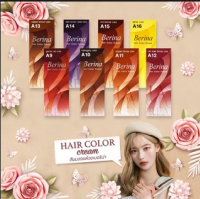 ⚡FLASH SALE⚡♡พร้อมส่ง Berina Hair Color ครีมเปลี่ยนสีผม เบอรีน่า เปล่งประกาย ติดทนนาน ปิดผมขาว มีทุกสี A12 - A19