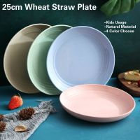 25cm Plates Wheat Straw Plate Kids Bowl Eco friendly plate children round plate microwave plates