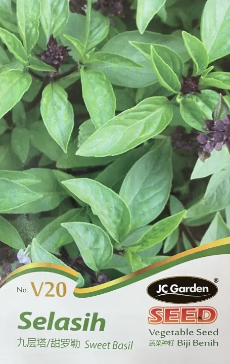 Sweet Basil Vegetable Seeds Lazada Singapore