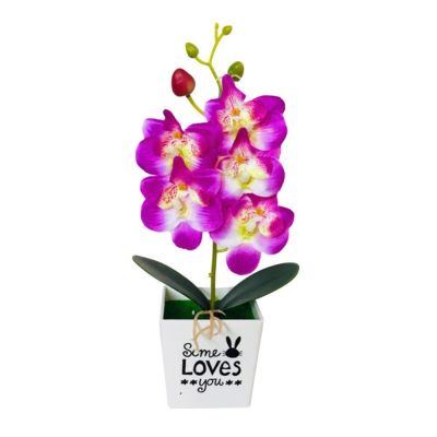 Artificial Butterfly Orchid Potted Plants Silk Flower Plastic Pots Moss Home Balcony Decoration Vase Set Wedding Dropshipping