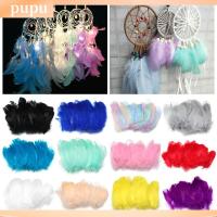 PUPU 50pcs ขนนก สีธรรมชาติ DIY ขนนกหลากสี ของตกแต่งบ้าน ขนห่าน ตกแต่งเครื่องแต่งกาย