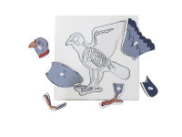 Montessori - แผ่นต่อภาพรูปโครงกระดูกนก (Bird  Skeleton Puzzle)