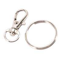 D760 Pieces Key Ring Clip Hooks Twist Locks Lanyard Snap Hooks with Split Key Rings