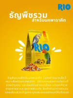 RIO Daily Feed Parakeets อาหารนกพารากีต ค๊อกคาเทล เลิฟเบิร์ด สูตรประจำวัน ธัญพืชรวมโภชนาการครบถ้วน