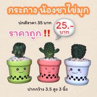 ?เซต 3 ชุด จัดโปร ?กระถางเซรามิกน้องชาไข่มุก 3 สี ขนาด3.5 นิ้ว กระถางเซรามิก กระถางพร้อมจานรอง กระถางต้นไม้?