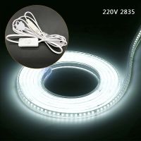 SMD 2835 220V LED Strip Flexible Light 120leds/m Waterproof Led Tape White LED Light With EU Power Plug 1M/2M/3M/5M/10M/15M/20M Power Points  Switches