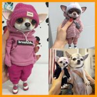 WEARXUNKANGDA ตุ๊กตา Mogwai สุนัขชาเป่ยน่ารักทันสมัยของเล่นสัตว์แต่งบ้านแบบทำมือ