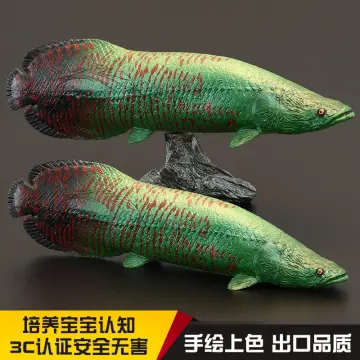 arapaima toy