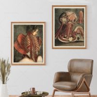 Cadavers โบราณโปสเตอร์ Vintage Medical Anatomy ภาพวาดโครงกระดูกดอกไม้ผ้าใบโปสเตอร์ Wall Art ภาพ Home Medical Room Decor New
