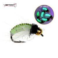 [HOT LIAXLLWISAAZH 534] Vampfly 6Pcs หัวลูกปัดทองเหลือง UV Caddis ผิวสีเขียว Scud Nymph Fly Fast Sinking Fly สำหรับปลาเทราท์ Grayling Char เหยื่อตกปลา10 12